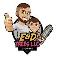 E and D Tree Services